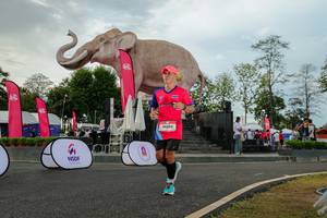 BIB: 
                            <button type="button" onclick="openModal(26528594)" class="btn btn-primary btn-sm float-right btn-popup" data-toggle="modal" data-target=".modal-high-quality">
                        <i class="fas fa-shopping-cart"></i> Add to Cart
                    </button>
                                            <button type="button" onclick="isThisMe(26528594, true)" class="btn btn-success btn-sm float-right btn-popup btn-isme hidden" data-toggle="tooltip" data-placement="bottom" title="นี่คือรูปของคุณใช่ไหม คลิกที่นี่เพื่อเอาเข้าอัลบั้ม">
                        <i class="fas fa-plus"></i> Add to album
                    </button>
                    <button type="button" onclick="isThisMe(26528594, false)" class="btn btn-warning btn-sm float-right btn-popup btn-isnotme hidden">
                        <i class="fas fa-ban"></i> Remove from album
                    </button>